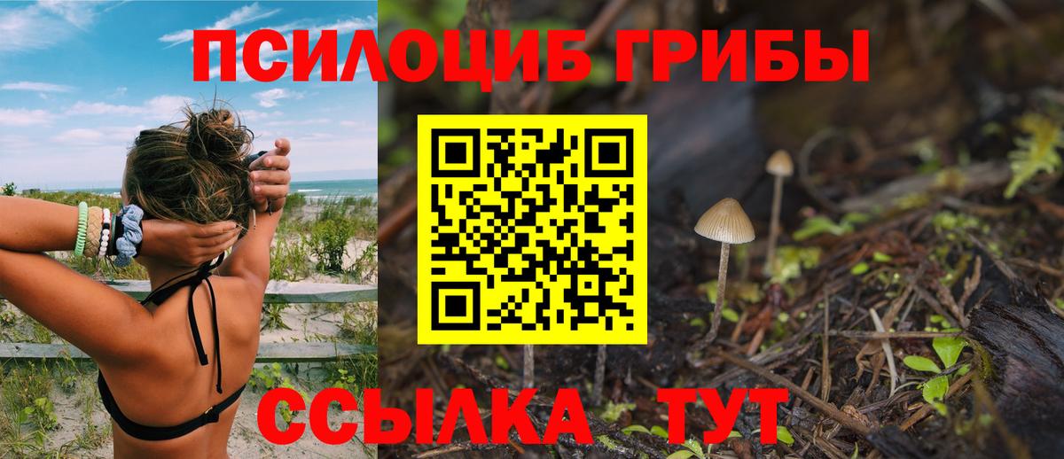 Галлюциногенные грибы Psilocybine cubensis Кинель